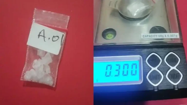 Pengedar Narkoba Asal Donggala Diringkus di Palu, Sabu 0,3 Gram Jadi Bukti Kunci